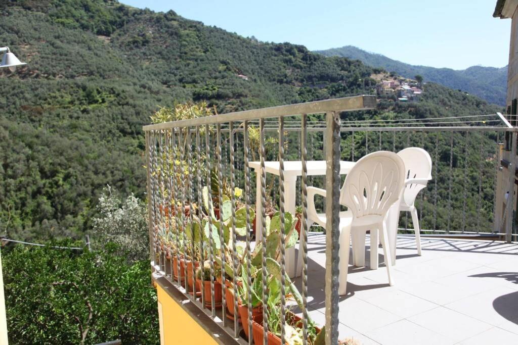 Le Case Della Lizza - Casa Verde Levanto Luaran gambar